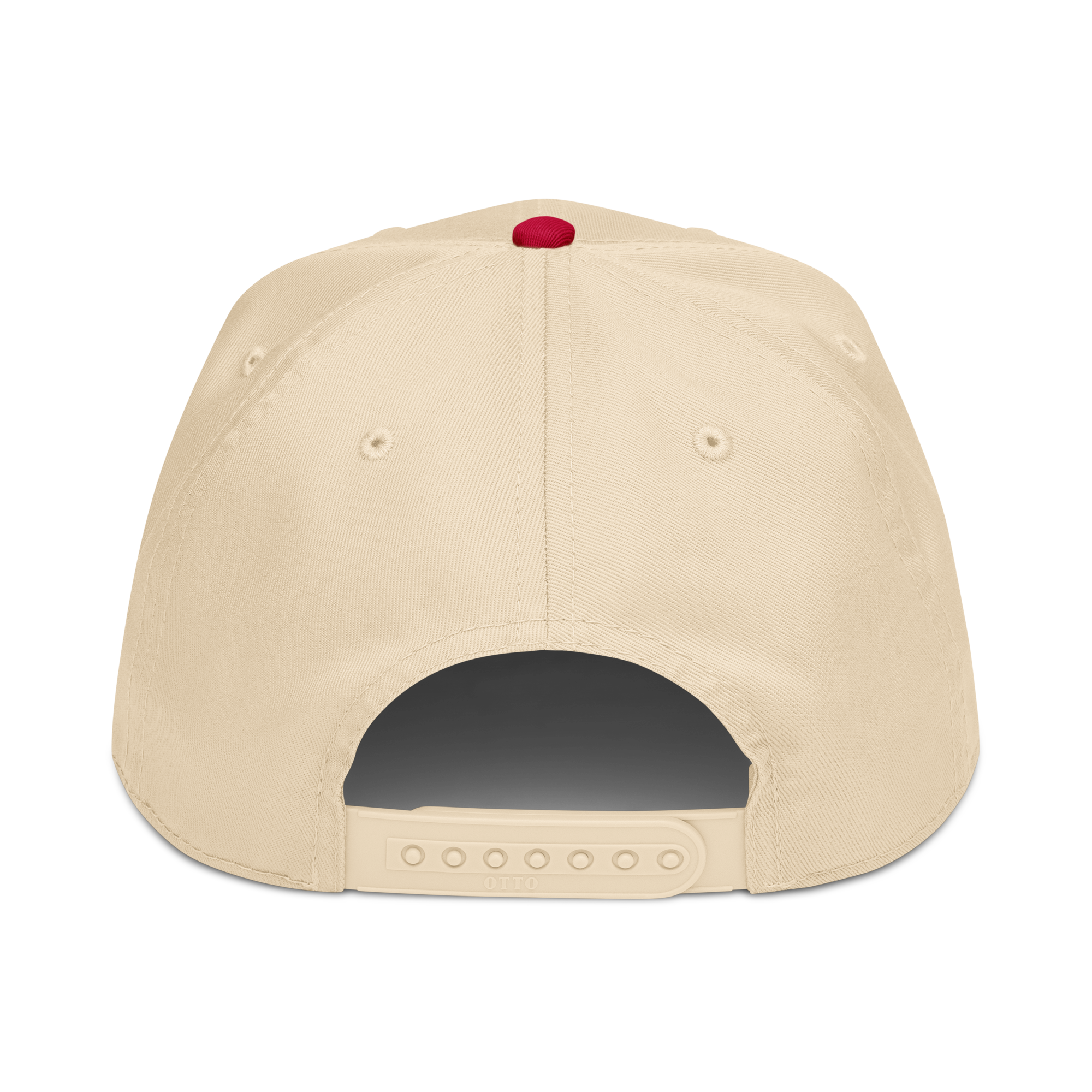 Back view of the Rocket Scientist Aviation Hat featuring a snap closure and clean design.