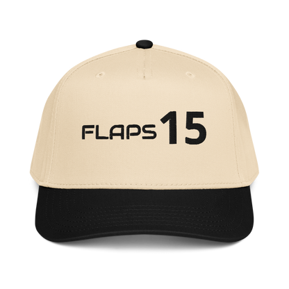 Flaps 15 panel aviation hat with a structured front panel and adjustable snap closure.
