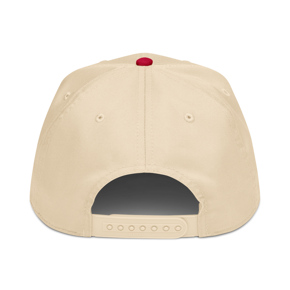 Back view of the Rocket Scientist Aviation Hat featuring a snap closure and clean design.