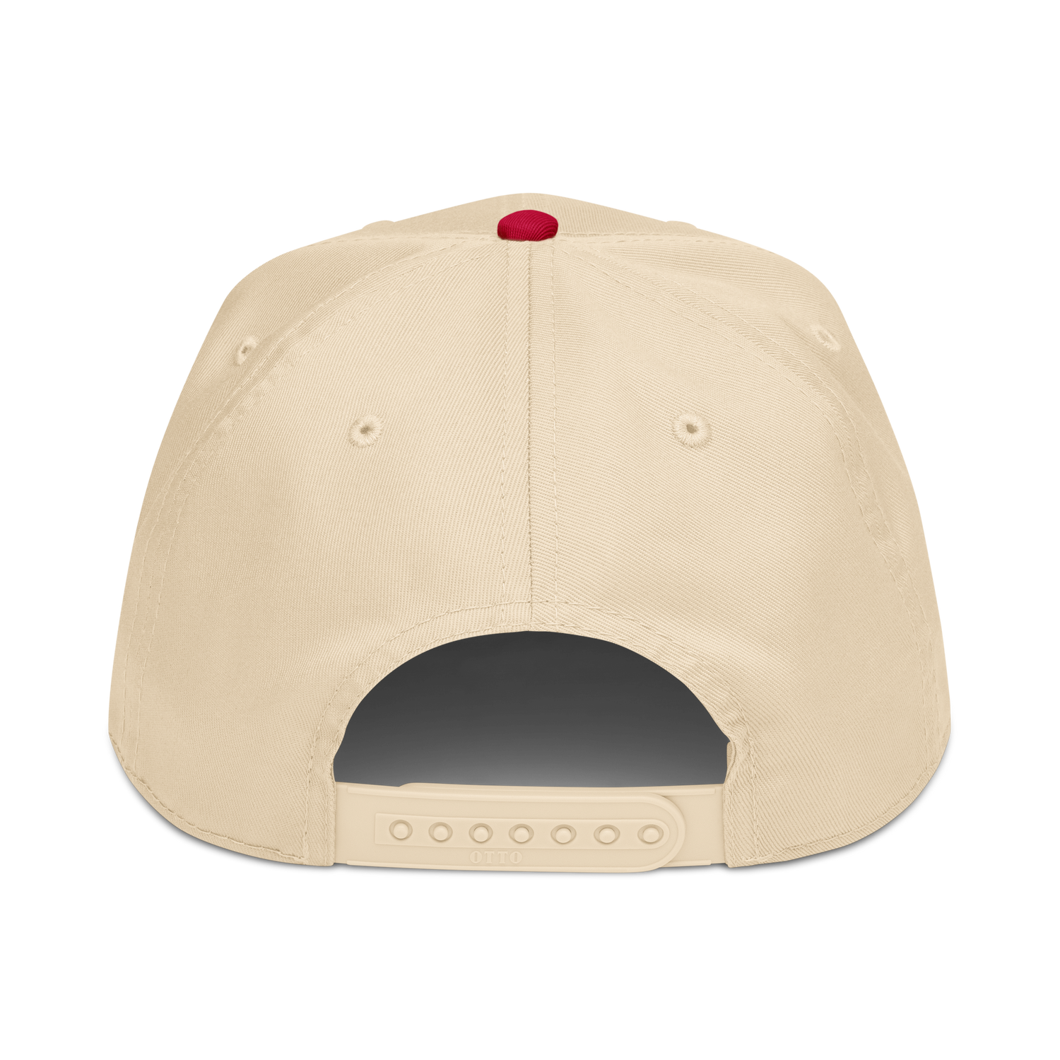 Back view of the Rocket Scientist Aviation Hat featuring a snap closure and clean design.