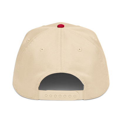 Back view of the Rocket Scientist Aviation Hat featuring a snap closure and clean design.
