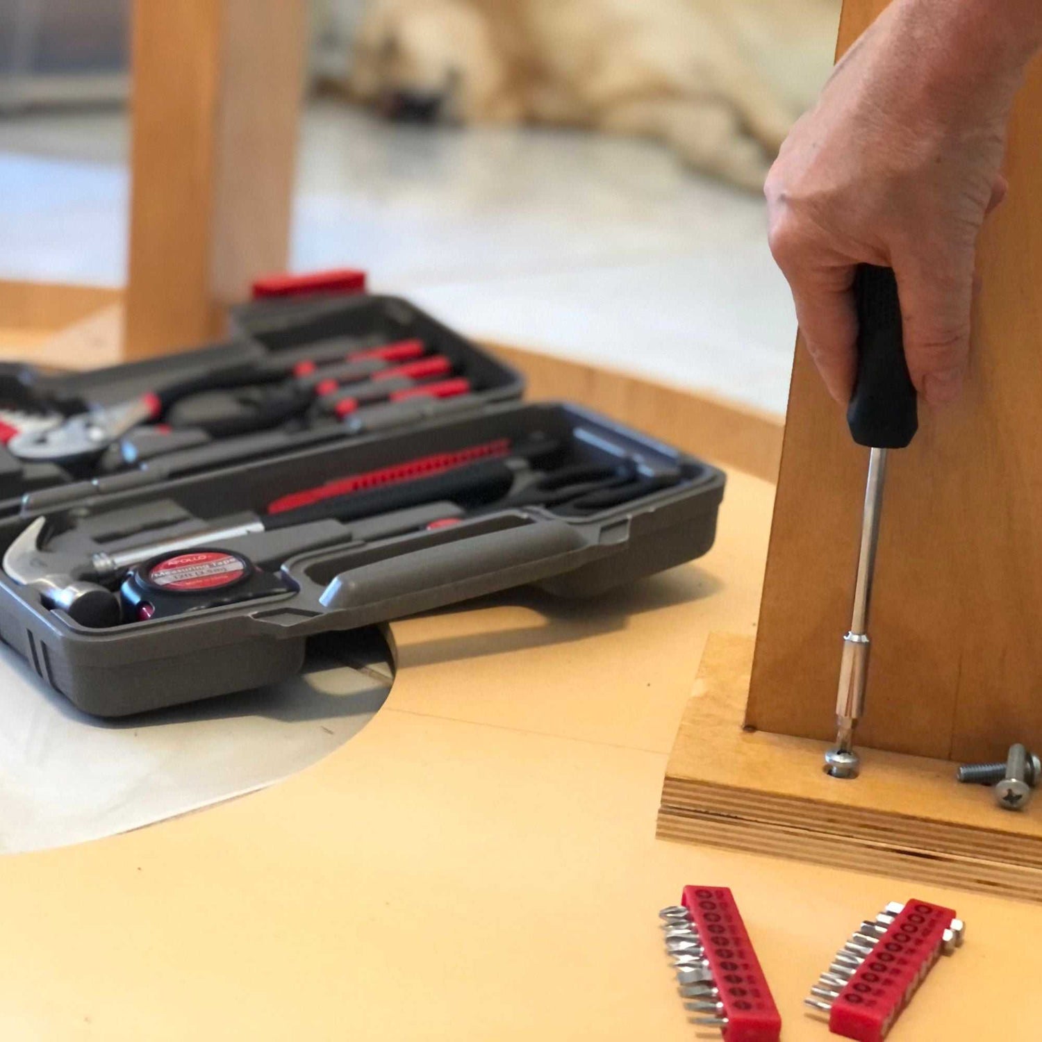 39 piece general tool set with screwdriver, hammer, pliers, tape measure, bits, and compact case for household repairs