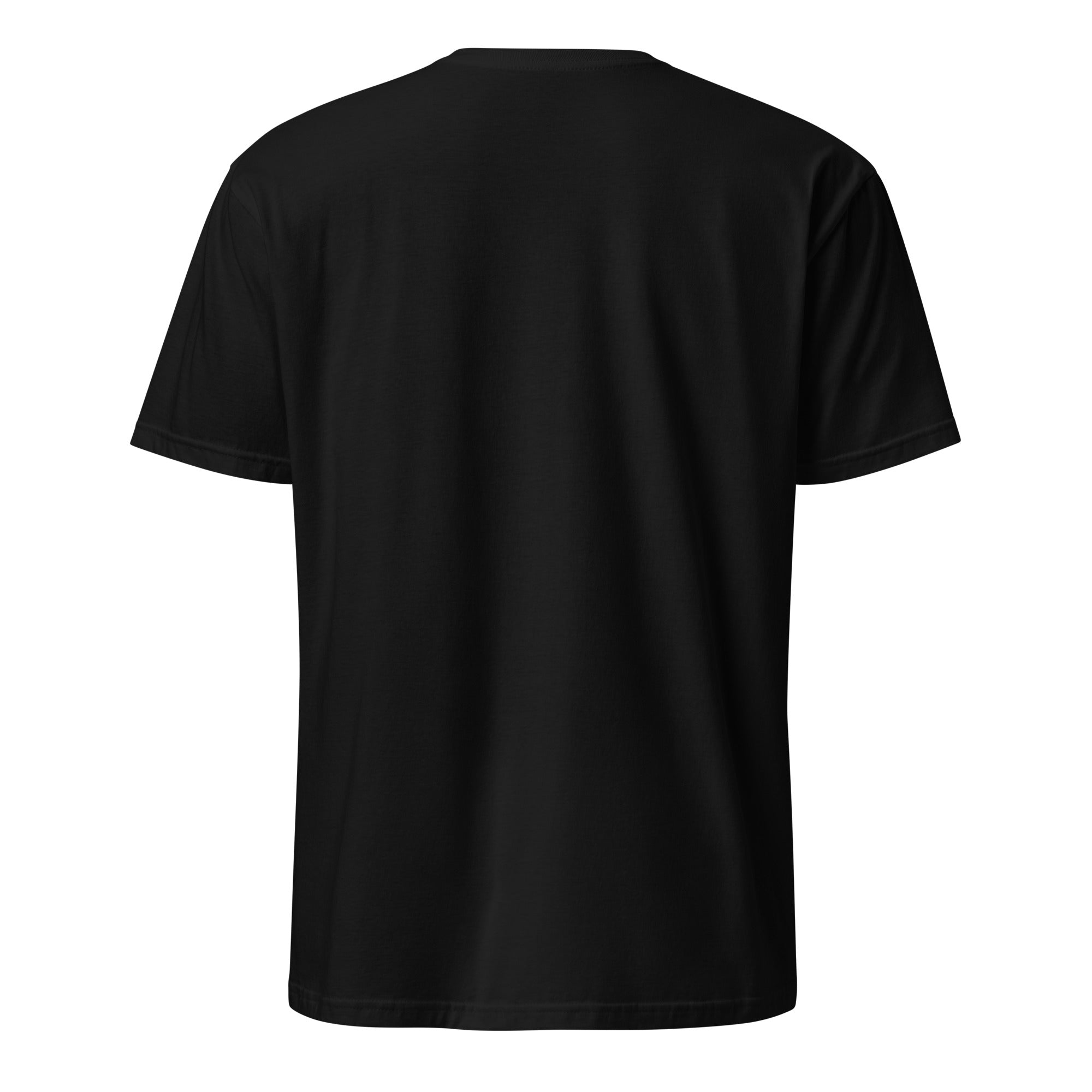 Plane 6 Short - Sleeve Unisex T-Shirt - Prop and Piston