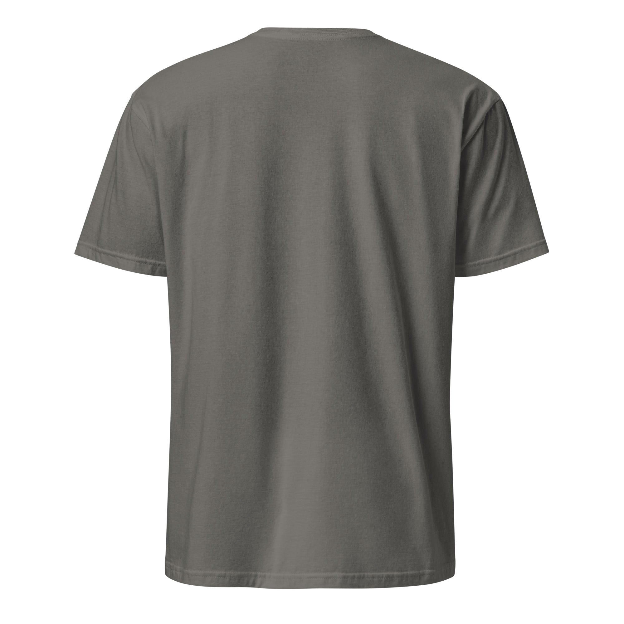 Plane 6 Short - Sleeve Unisex T-Shirt - Prop and Piston